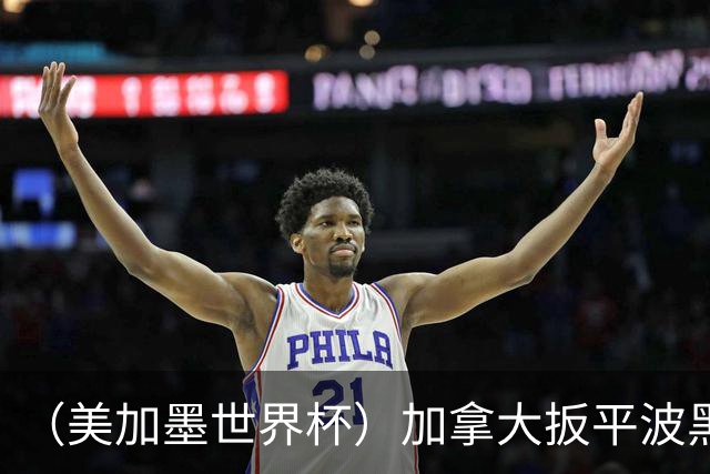 （美加墨世界杯）加拿大扳平波黑 获队史世界杯首分
