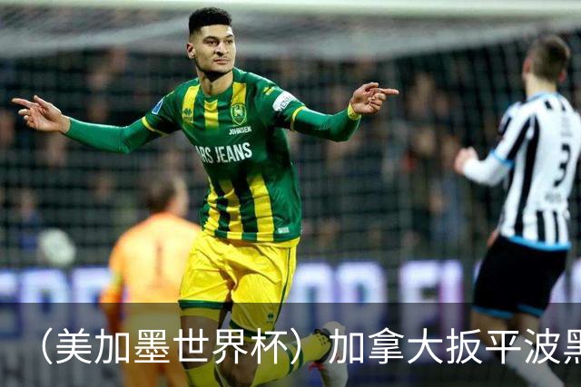 （美加墨世界杯）加拿大扳平波黑 获队史世界杯首分