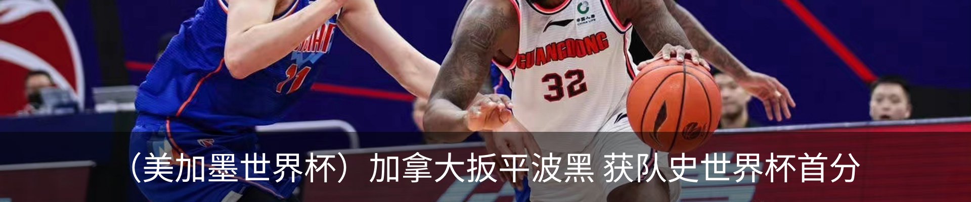新闻动态